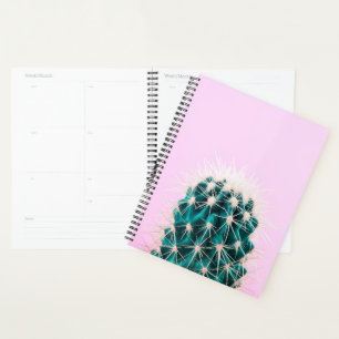 Prickley Cactus on Pink Planner