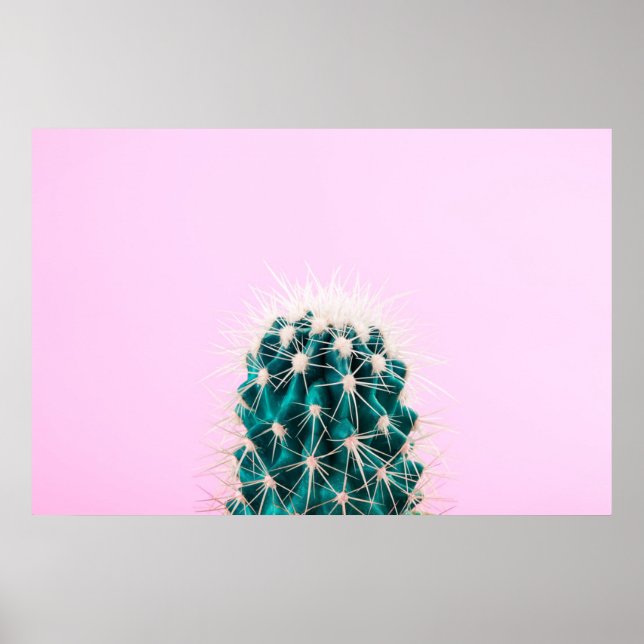 Prickley Cactus on Pink Poster (Front)