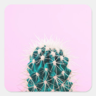 Prickley Cactus on Pink Square Sticker