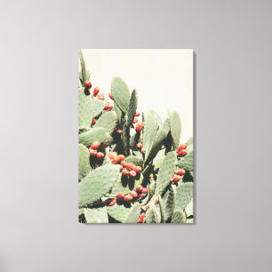 Prickley Pear Cactus Canvas Print