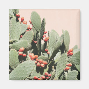 Prickley Pear Cactus Magnet