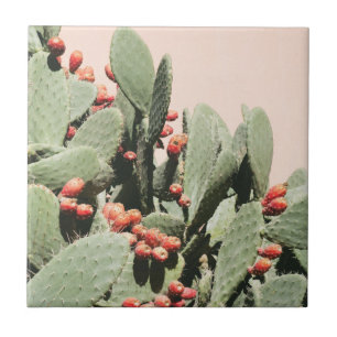Prickley Pear Cactus Tile