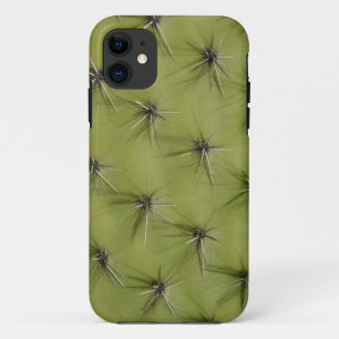 Prickly cactus iPhone case