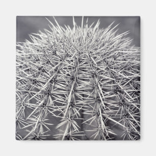Prickly Cactus Sonoran Desert Refrigerator Magnets