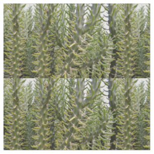 Prickly Green Cactus Plants, Fabric