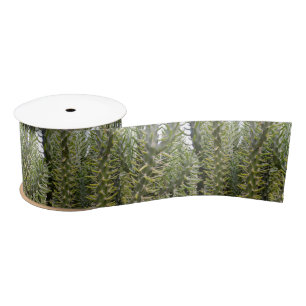 Prickly Green Cactus Plants, Satin Ribbon