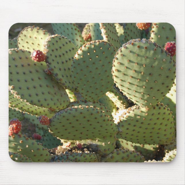 Prickly Mousepad (Front)