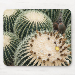 Prickly Pad Mouse Mat