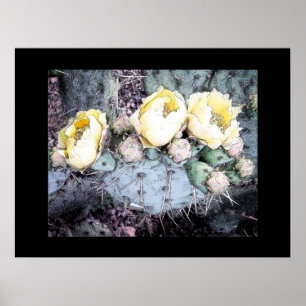 Prickly Pear Blooms Ink Effect Poster