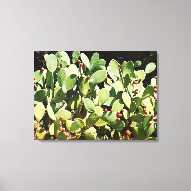 Prickly pear cactus canvas print (Front)