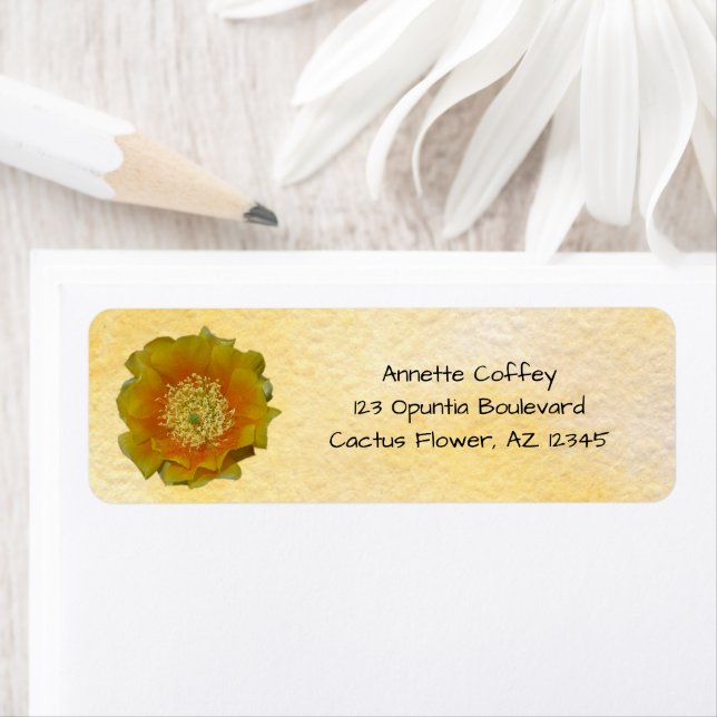 Prickly Pear Cactus Flower / Yellow & Orange / (Insitu)