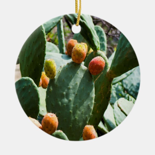 Prickly Pear Cactus Fruit Ceramic Tree Decoration (Front)