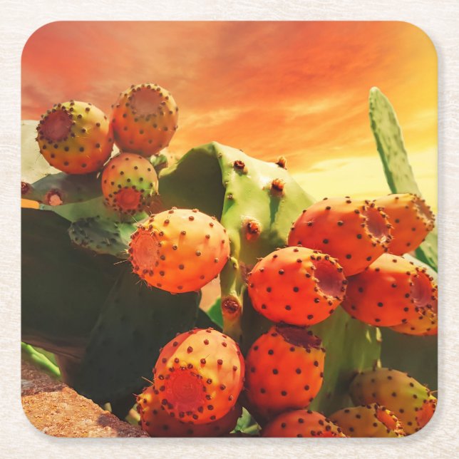 Prickly Pear Cactus Fruits And Red Sky Square Paper Coaster (Front)