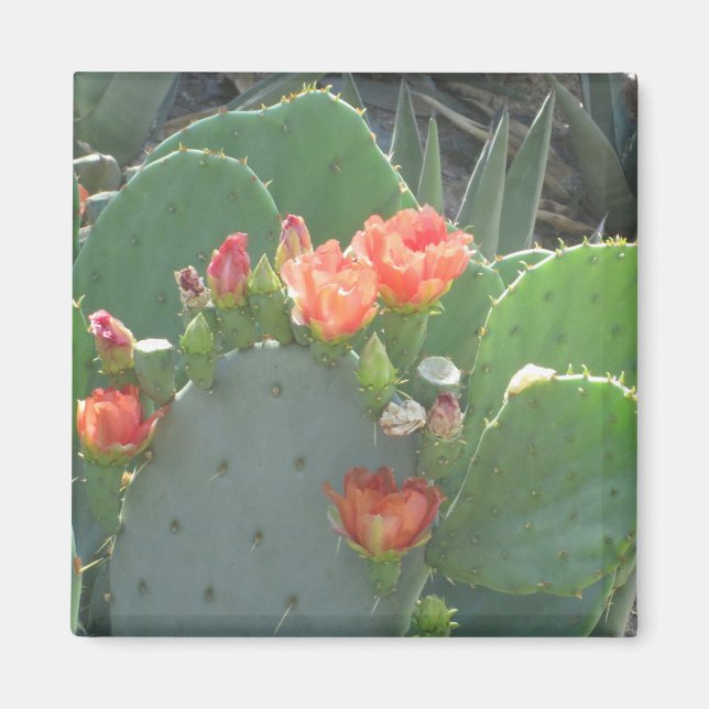 Prickly Pear Cactus Green Red Bloom Magnet (Front)