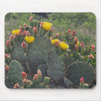 Prickly Pear Cactus Mouse Mat