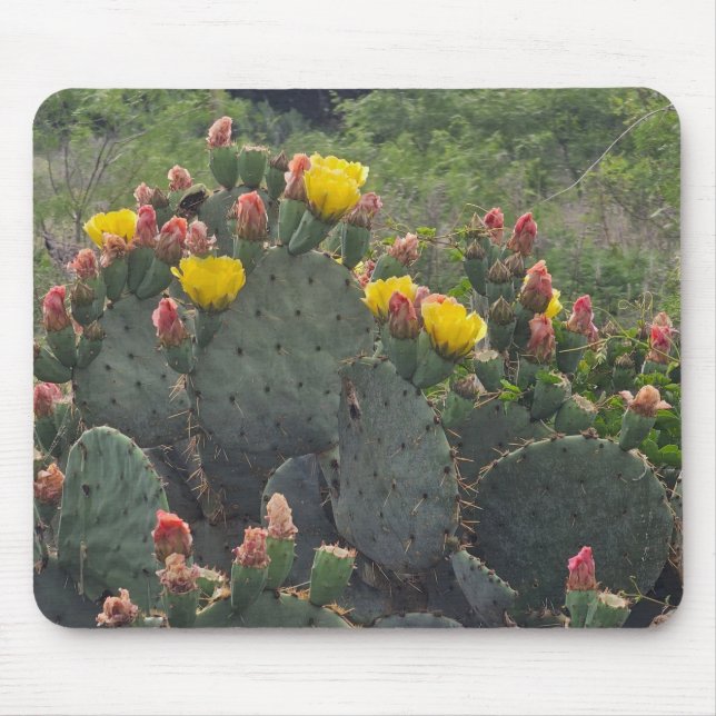 Prickly Pear Cactus Mouse Mat (Front)