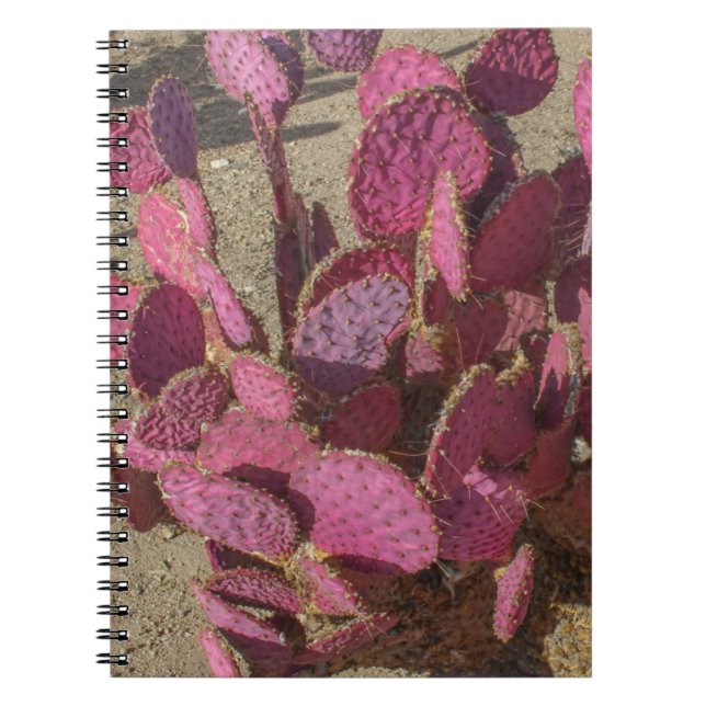 Prickly Pear Cactus Notebook (Front)