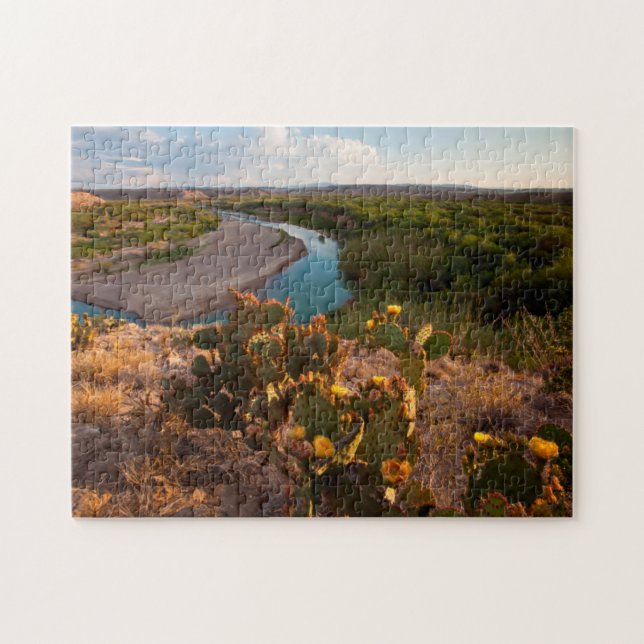 Prickly Pear Cactus (Opuntia Sp.) Jigsaw Puzzle (Horizontal)