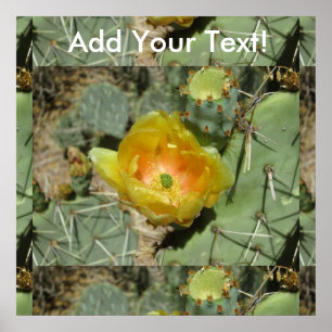 Prickly Pear Green Yellow Bloom Poster