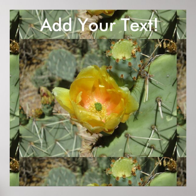 Prickly Pear Green Yellow Bloom Poster (Front)