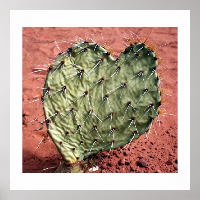 Prickly Pear Heart Poster (Front)