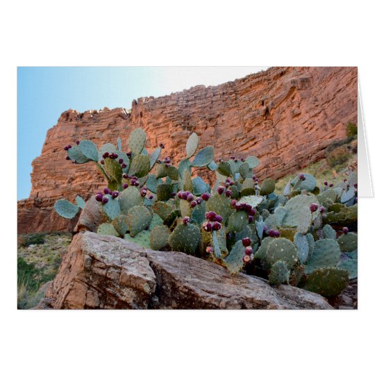 Prickly Pear in Grand Canyon Card