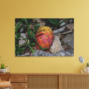 prickly pear on stones canvas print