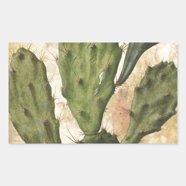 Prickly Pear Rectangular Sticker (Front)