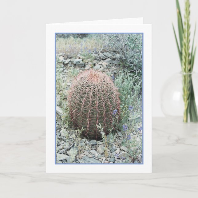 Prickly Pink Petals Greeting Card (Front)