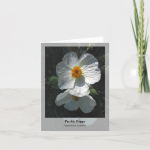 Prickly Poppy - Native Notecard