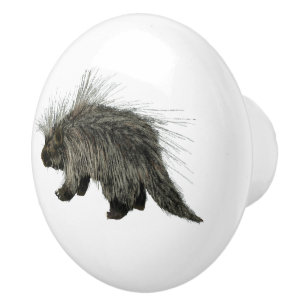 Prickly Porky Ceramic Knob