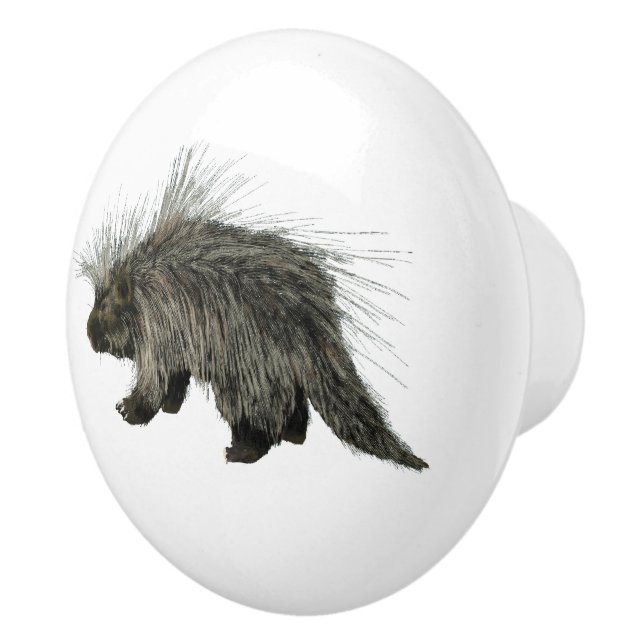 Prickly Porky Ceramic Knob (Right)