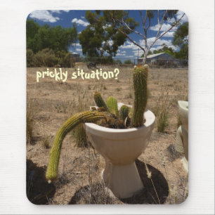 prickly situation? mouse mat