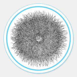 Pricky Urchin sticker