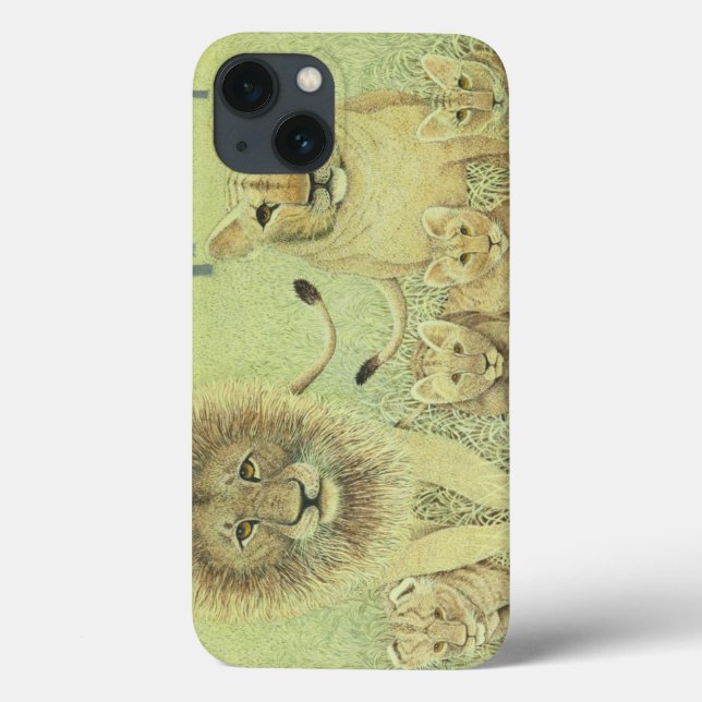 Pride Case-Mate iPhone Case (Back)