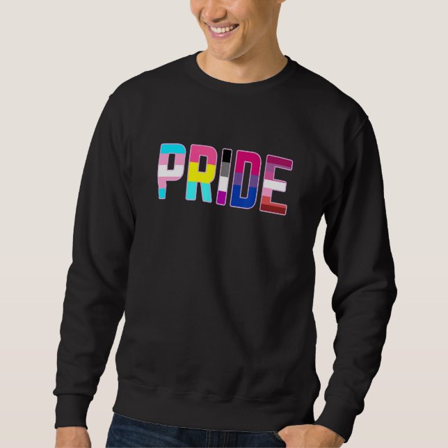Pride LGBT Flags for Pan Trans Bi Lesbian Asexual  Sweatshirt (Front)