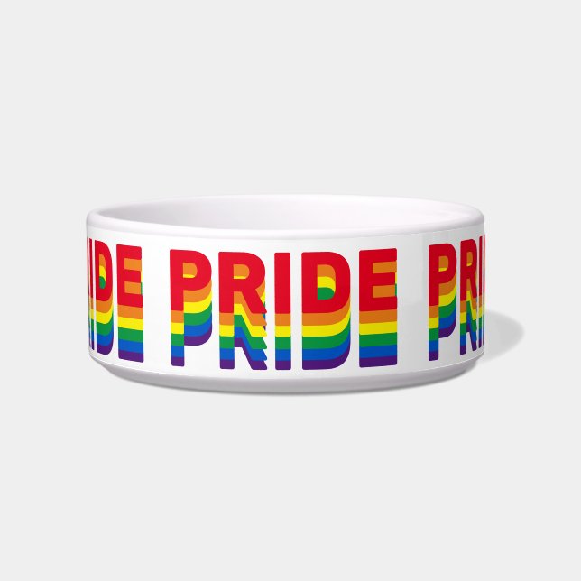 Pride lgbt lgbtq queer gay rainbow retro colours bowl (Front)