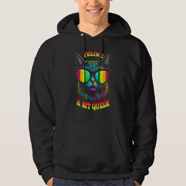 Pride Month Feline Queer Cat Gay LGBTQ Rainbow Fla Hoodie (Front)