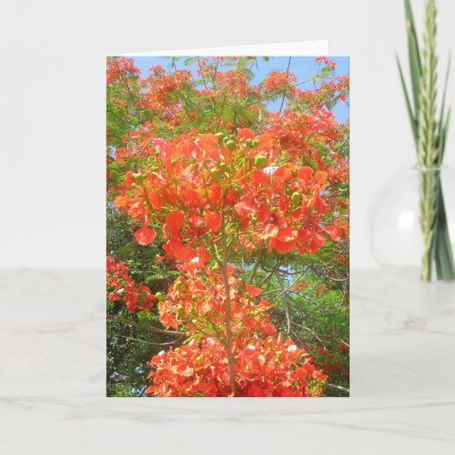 Pride of Barbados Card (Front)