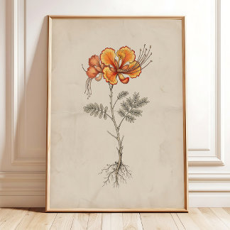 Pride of Barbados Vintage Flower Print Decor