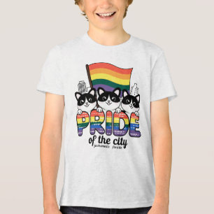 Pride of Jacksonville City Florida USA Rainbow Fla Tri-Blend Shirt