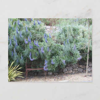 Pride of Madeira postcard