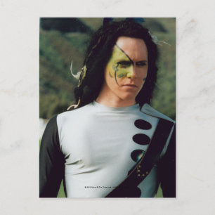 Pride The Tribe Postcard