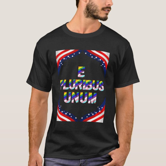 Pride Unity And Independence T-Shirt (Front)