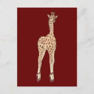 Prima Donna Giraffe Postcard