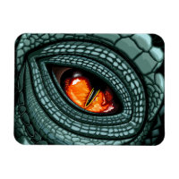 Primal Reptile Predator Eye