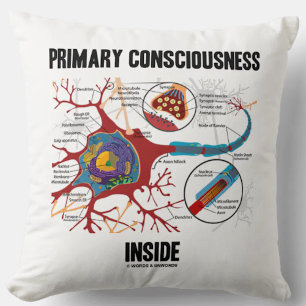 Primary Consciousness Inside (Neuron / Synapse) Cushion