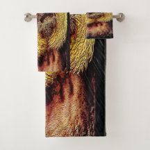 Primate Models: White-faced Saki monkey