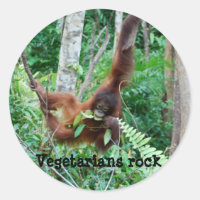 Primate Vegetarians Rock !