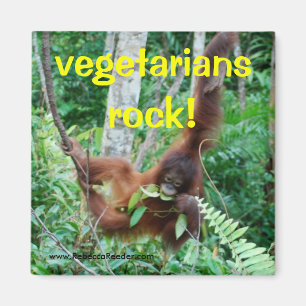 Primate Vegetarians rock! Magnet